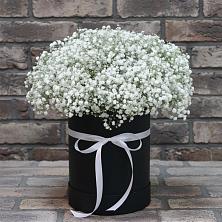 Цветочная композиция из Гипсофила в шляпной коробке в Богословке Пензенской области